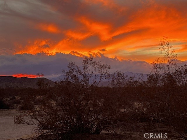 Detail Gallery Image 33 of 39 For 1345 Shangrila, Joshua Tree,  CA 92252 - 1 Beds | 1 Baths