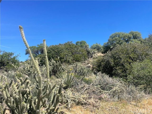 33 Sweetbush, Anza CA: https://media.crmls.org/medias/29ae8aea-dfaa-4c84-9283-3eff1f19fc75.jpg