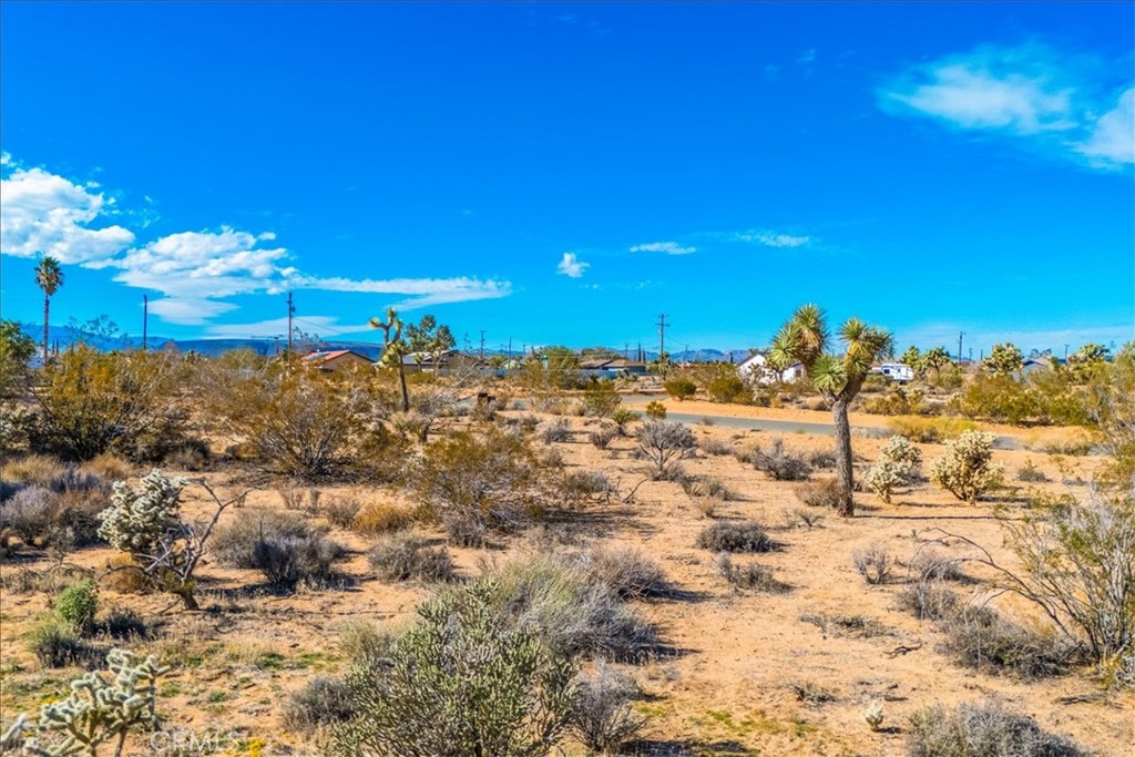 MLS #JT25260837 image #20