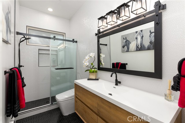 Image 24 of 70 For 8 Palomino  