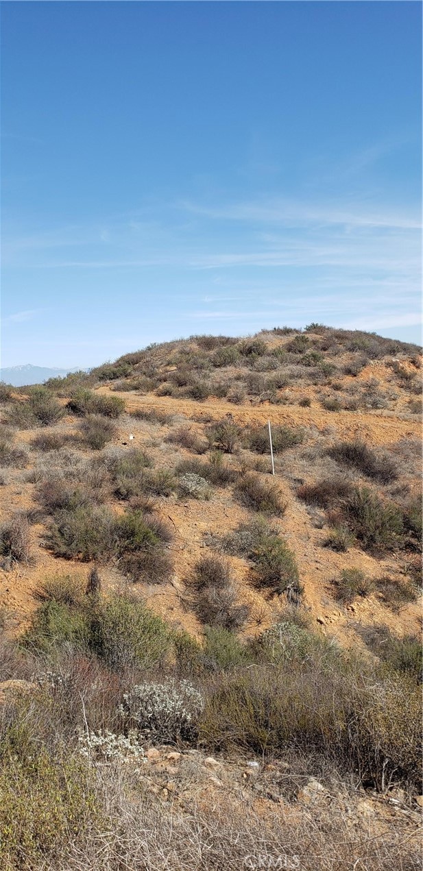 MLS #IV25264641 image #8