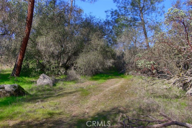 Detail Gallery Image 15 of 24 For 0 6.48 Ac Long Hollow Dr, Coarsegold,  CA 93614 - – Beds | – Baths