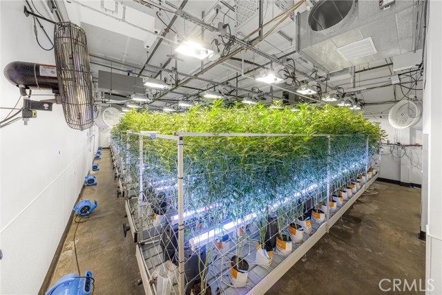 Image 37 of 54 For 44211 Yucca