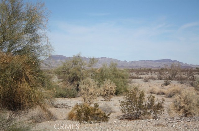 Front Image Thumbnail for CRIG25265583