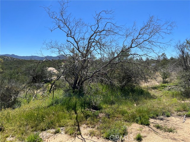 3 Barbara Trail, Aguanga, CA, 92536 3 Barbara Trail, Aguanga, CA, 92536
