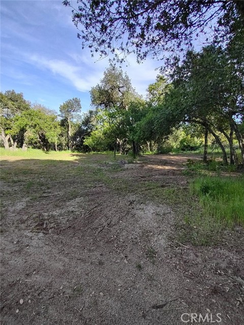 0 Avenida Perla Bonita, Murrieta CA: https://media.crmls.org/medias/29c254fa-5e7d-46f4-a400-8423182fcdb3.jpg