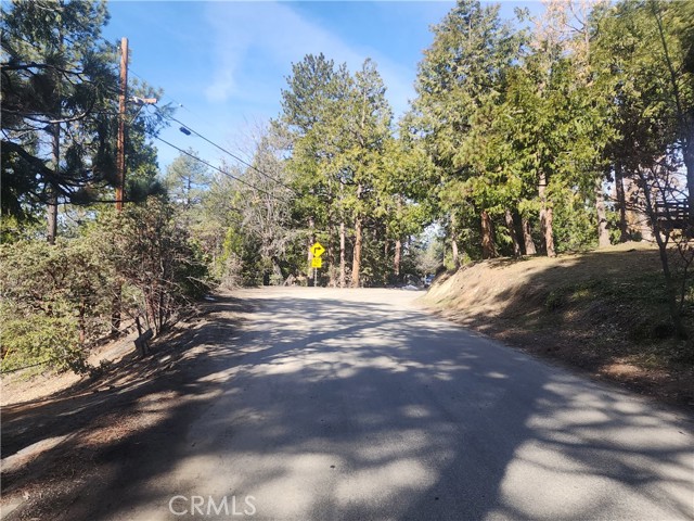 Image 3 for 52547 Pine Cove Rd, Idyllwild, CA 92549