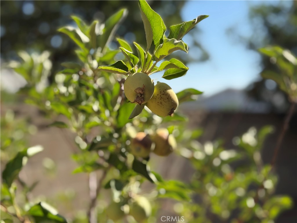 https://media.crmls.org/medias/29c9edf1-34af-4277-a30c-e5e8f3460634.jpg?preset=X-Large