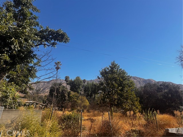 1201 E Altadena Drive, Altadena CA: https://media.crmls.org/medias/29ca7948-0c4f-40a1-aea3-736f3a4d96d6.jpg