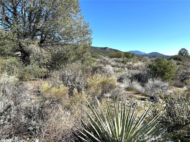 Detail Gallery Image 4 of 29 For 0 Oak Rd, Anza,  CA 92539 - – Beds | – Baths