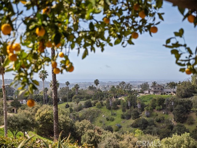 3744 Foothill Road, Santa Barbara CA: https://media.crmls.org/medias/29d19979-e3d0-43dd-ab01-47afc33c5d6a.jpg