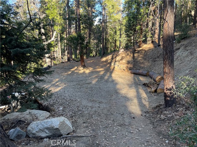 Detail Gallery Image 20 of 31 For 0 Fernland Dr, Idyllwild,  CA 92549 - – Beds | – Baths
