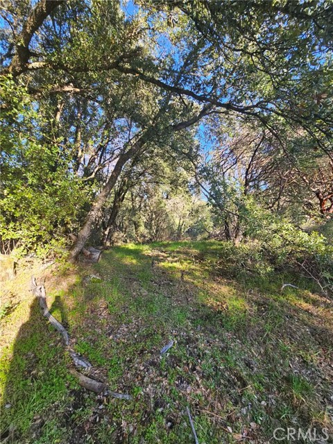 Detail Gallery Image 8 of 16 For 8 Ac Road 225, North Fork,  CA 93643 - – Beds | – Baths