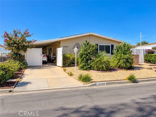 Front Image Thumbnail for CRIG26210613