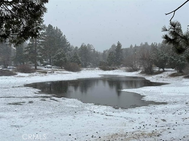 2440 Spruce Drive, Arrowbear CA: https://media.crmls.org/medias/29dece12-78c3-484c-88e6-1489eb5350eb.jpg