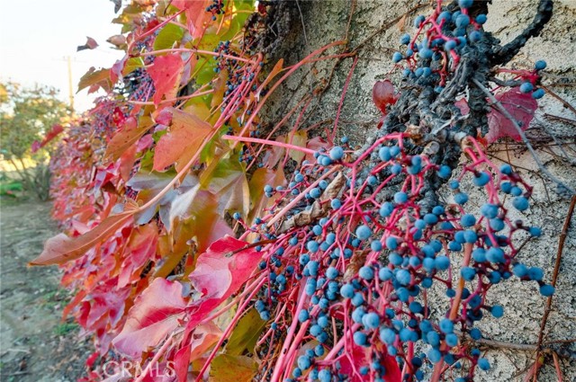 Detail Gallery Image 40 of 56 For 5488 Jasper St, Alta Loma,  CA 91701 - 4 Beds | 2 Baths