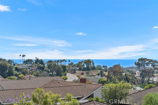 317 Calle Familia, San Clemente CA: https://media.crmls.org/medias/29e0fbe6-f4e1-4ebf-b4e8-8008baff360d.jpg