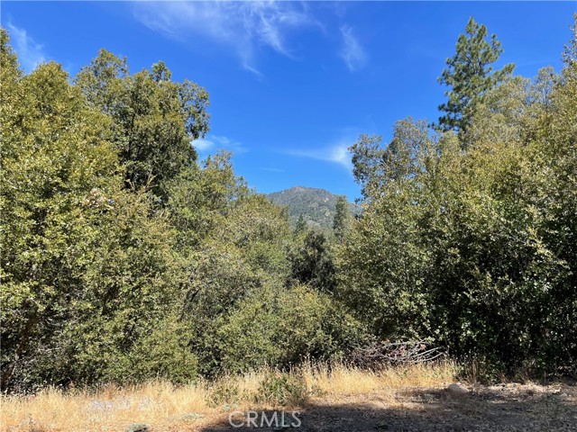 Detail Gallery Image 17 of 19 For 5693 Creel Rd, Mariposa,  CA 95338 - – Beds | – Baths
