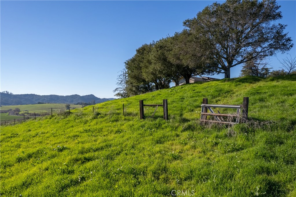 1195 Tiffany Ranch Road
