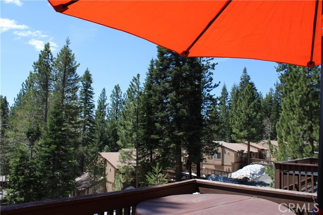 View from Deck