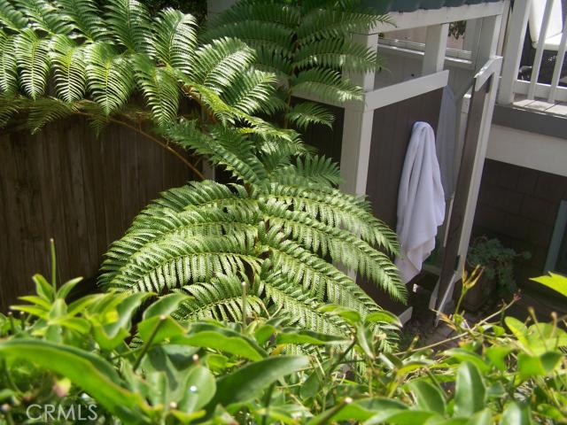 Outdoor Shower.  Perfect for Washing off Beach Sand and Play.