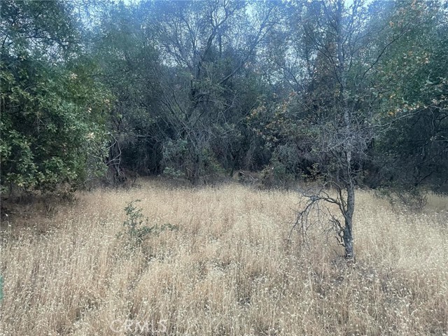 Detail Gallery Image 1 of 19 For 43020 Apache Ranch Rd, Ahwahnee,  CA 93601 - – Beds | – Baths