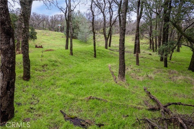 Detail Gallery Image 37 of 40 For 2628 Greenway Dr, Kelseyville,  CA 95451 - – Beds | – Baths