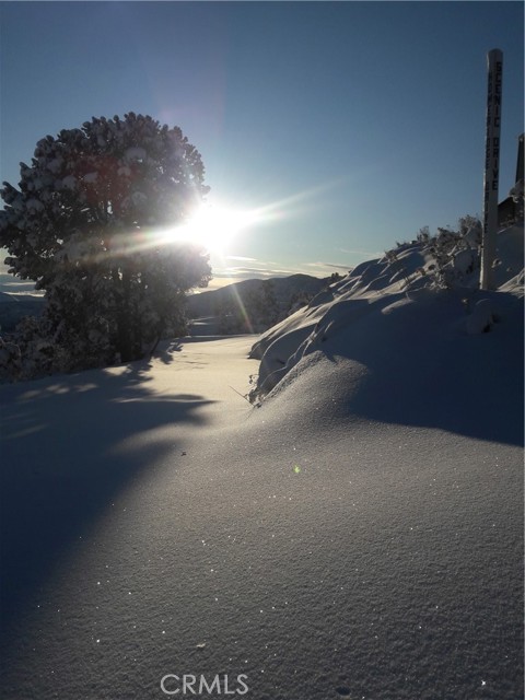 Ealry morning East