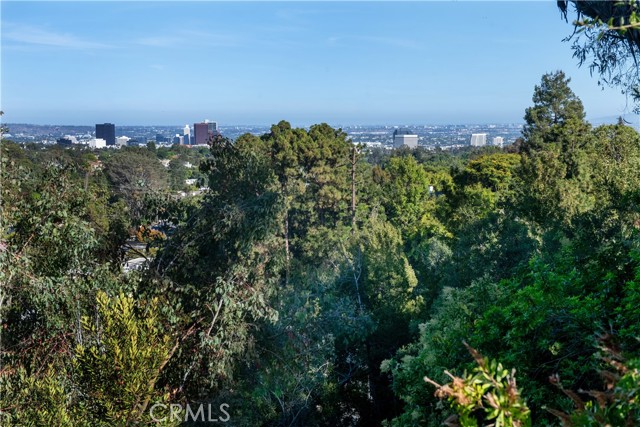 Detail Gallery Image 28 of 33 For 753 Claymont Dr, Los Angeles,  CA 90049 - 3 Beds | 3 Baths
