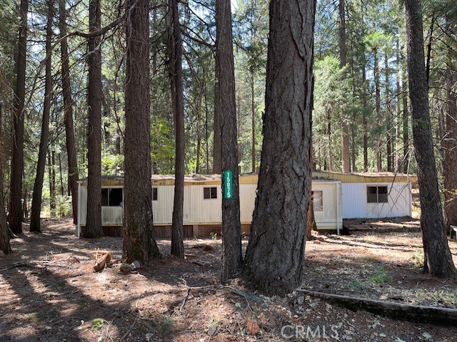 15075 Oakleaf