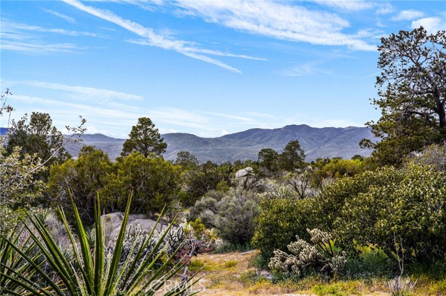Detail Gallery Image 47 of 56 For 70089 Sonora, Mountain Center,  CA 92561 - 2 Beds | 2 Baths