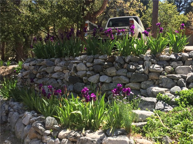 Detail Gallery Image 4 of 31 For 9112 Torrey Pines Rd, Forest Falls,  CA 92339 - 2 Beds | 2/1 Baths