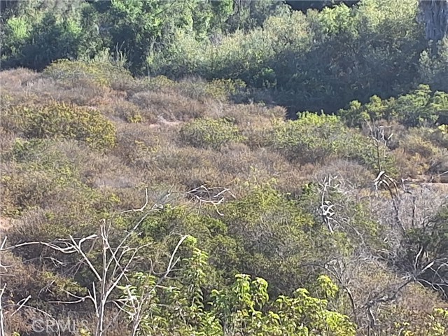 Detail Gallery Image 18 of 25 For 0 via Puerta Del Sol, Bonsall,  CA 92003 - – Beds | – Baths