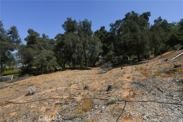 2475 Sunset Drive, Riverside CA: https://media.crmls.org/medias/2a1a06de-9a66-4c10-9f3e-4f71b8fb0e08.jpg