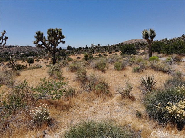 Detail Gallery Image 9 of 33 For 0 Yucca Trail, Yucca Valley,  CA 92284 - – Beds | – Baths