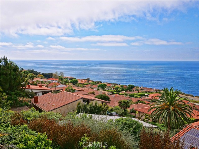 Detail Gallery Image 44 of 45 For 529 Palos Verdes Dr, Palos Verdes Estates,  CA 90274 - 4 Beds | 4 Baths