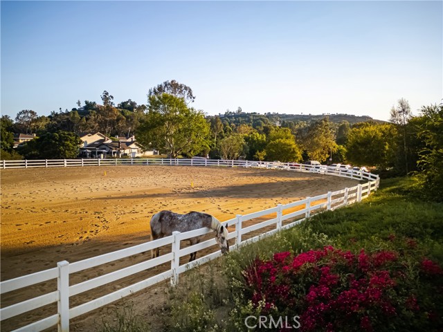 Detail Gallery Image 53 of 74 For 7419 E Calico Trl, Orange,  CA 92869 - 4 Beds | 3 Baths