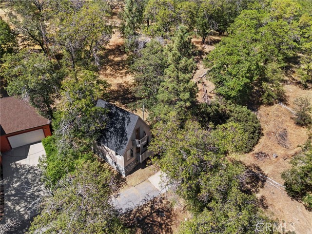 1700 S Way, Lake Arrowhead, CA 92352