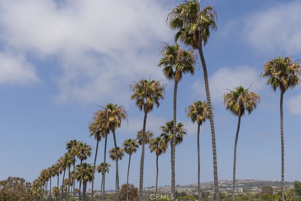 https://media.crmls.org/medias/2a23bfa2-9a6f-4509-9ebf-05b0b8fefc58.jpg?preset=X-Large