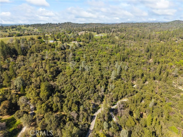 Detail Gallery Image 29 of 32 For 1371 Moccasin Trl, Placerville,  CA 95667 - – Beds | – Baths