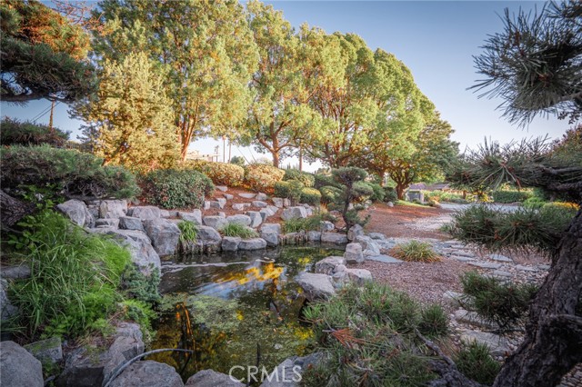 3455 Rancho Rio Bonita photo 15