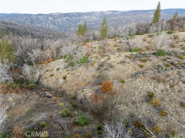 2231 Lumpkin Road, Oroville, California 95966, ,Land,For Sale,2231 Lumpkin Road,CRSN23227176