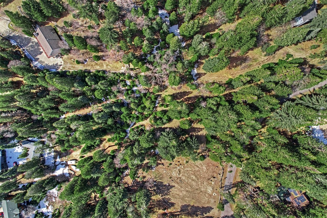 0 Cedar Brook Drive, Twin Peaks, California 92391, ,Land,For Sale,0 Cedar Brook Drive,CRRW23028567