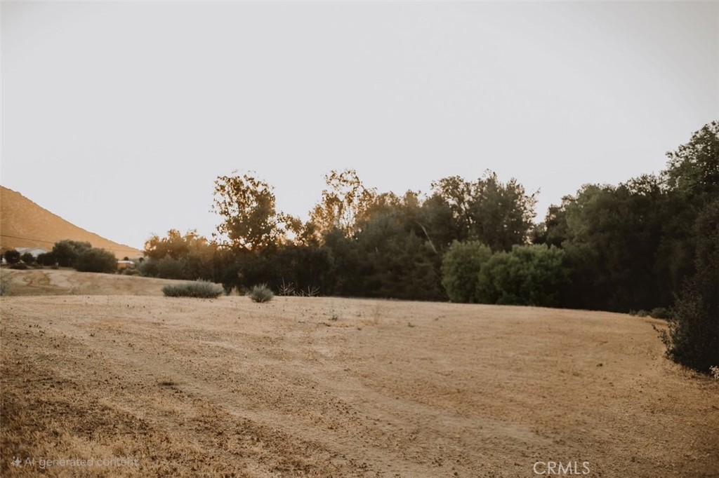 MLS #SW25018861 image #6