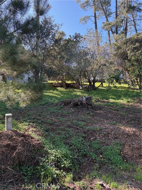 Detail Gallery Image 3 of 4 For 0 Spencer, Cambria,  CA 93428 - – Beds | – Baths