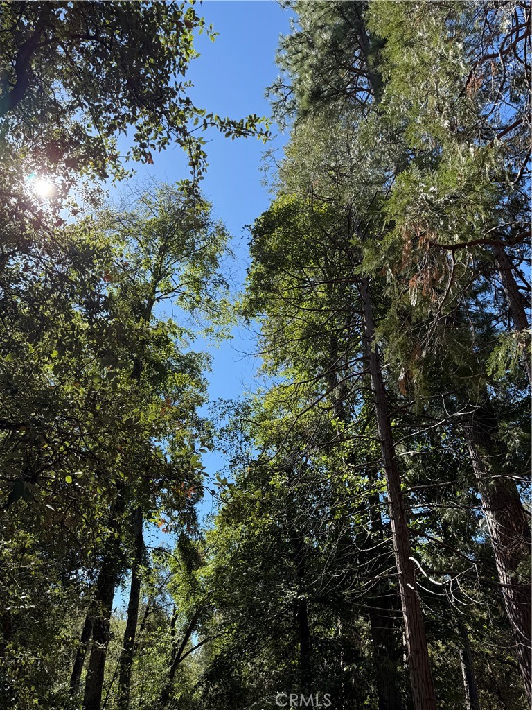 https://media.crmls.org/medias/2a3ec6d2-35b0-4663-be2c-253f929ae29f.jpg?preset=X-Large