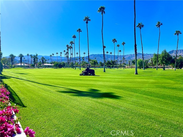 Detail Gallery Image 39 of 42 For 46125 Burroweed Ln, Palm Desert,  CA 92260 - 2 Beds | 2 Baths