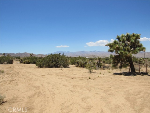 Detail Gallery Image 19 of 28 For 8626 La Contenta Rd, Yucca Valley,  CA 92284 - 2 Beds | 1 Baths