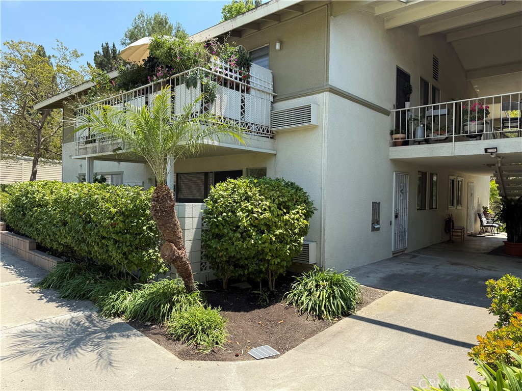 161 Avenida Majorca #C
