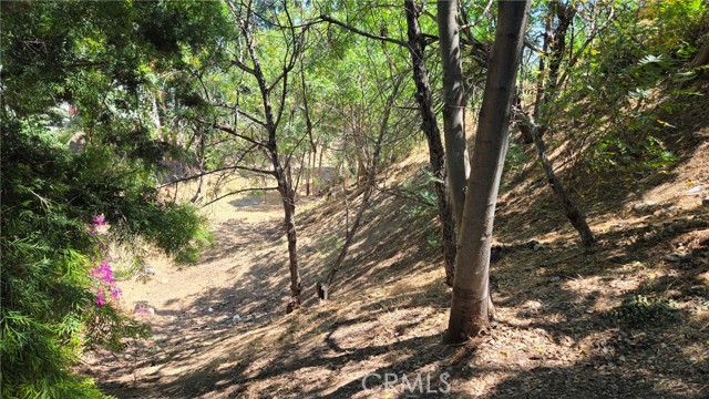 Detail Gallery Image 9 of 16 For 631 N Avenue 48, Los Angeles,  CA 90042 - – Beds | – Baths